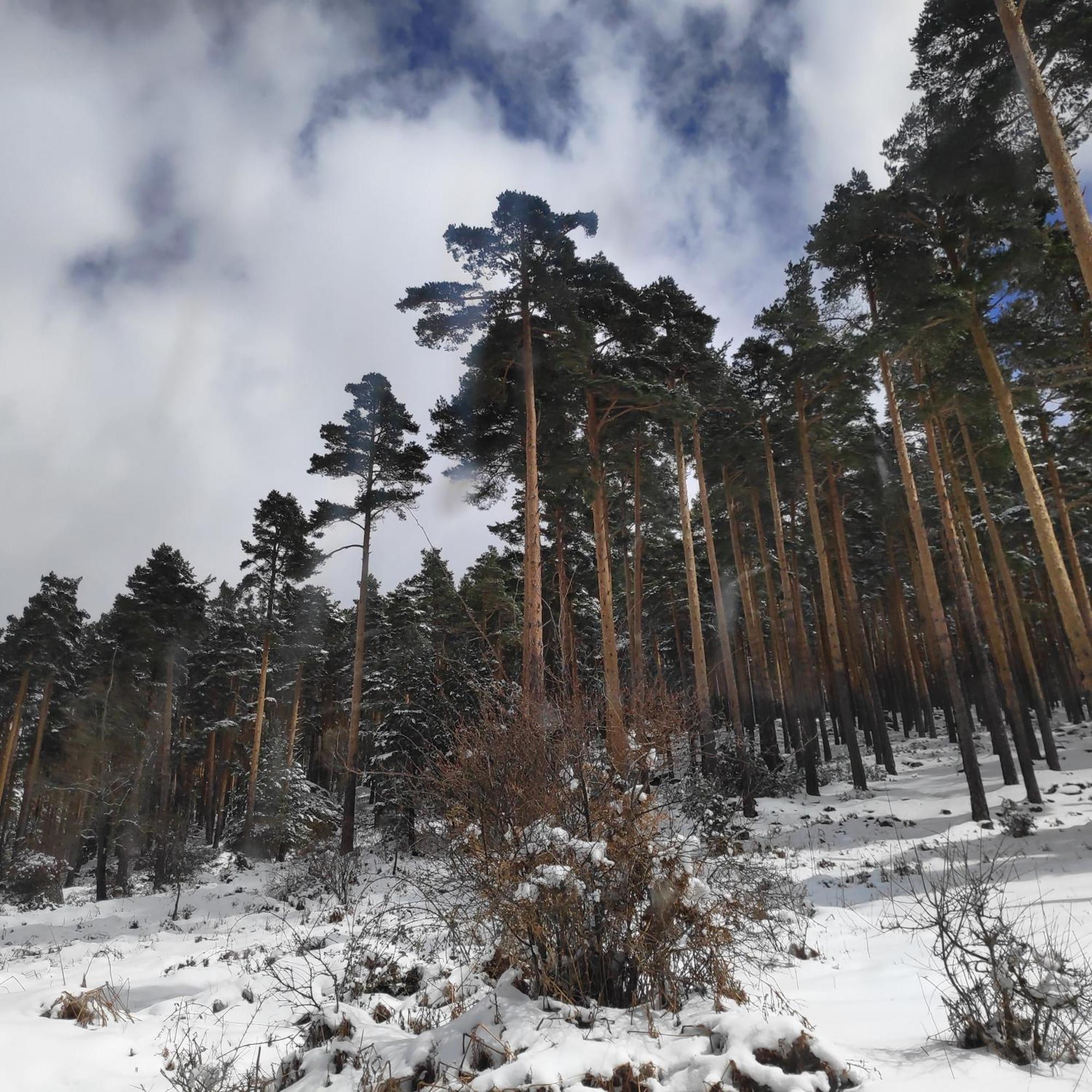 Las Encarnas Braojos de la Sierra Esterno foto